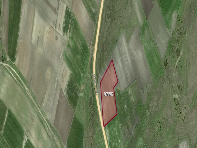 Tekirdağ Saray Beyazköy Satılık Tarla , 8,200 M2 Asfalt Caddeye Cephe Müstakil