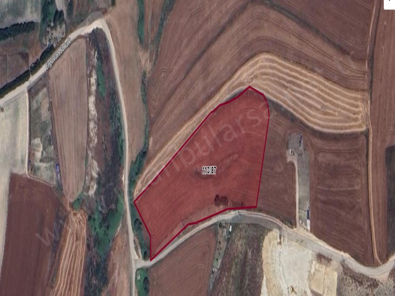 Arnavutköy Hacımaşlı  Satılık Arsa , 664 m2 Yolu Var Evlerin Yakını