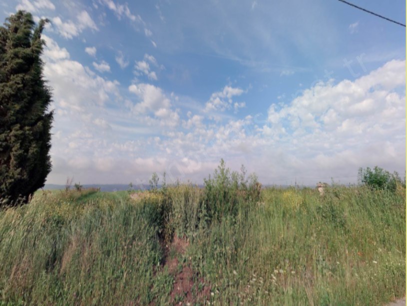 Arnavutköy Hacımaşlı  Satılık Arsa , 200 m2 Asfalt Caddeye Cephe Hisseli 