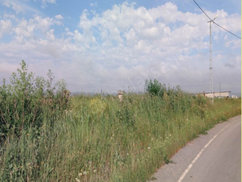 Arnavutköy Hacımaşlı  Satılık Arsa , 200 m2 Asfalt Caddeye Cephe Hisseli 