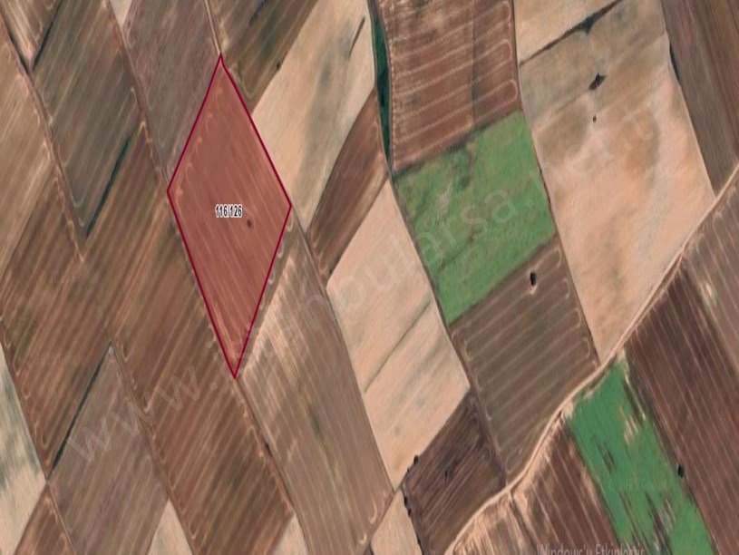 Tekirdağ Saray Yuvalıda Satılık Arsa , 263 M2 Hisseli Yolu Var