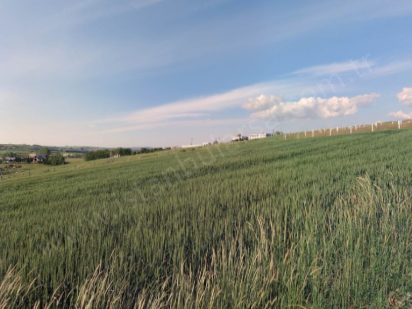 Arnavutköy Hacımaşlı  Satılık Arsa , 330 M2 Yolu Var Evlerin Yakını 