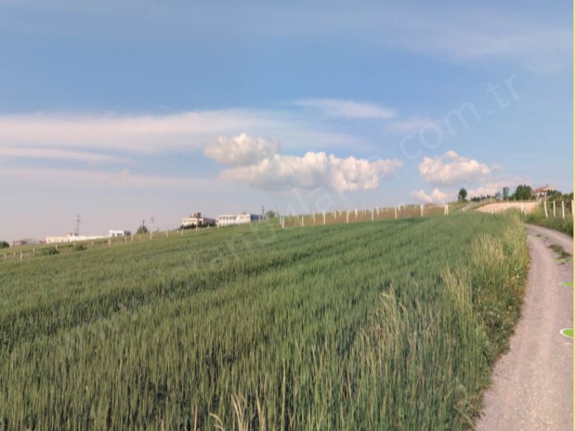 Arnavutköy Hacımaşlı  Satılık Arsa , 330 M2 Yolu Var Evlerin Yakını 