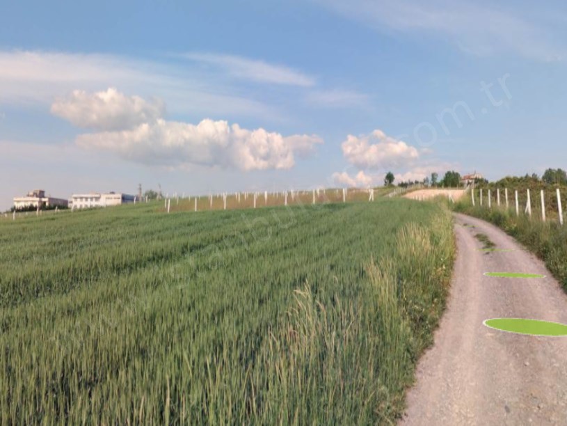 Arnavutköy Hacımaşlı  Satılık Arsa , 330 M2 Yolu Var Evlerin Yakını 