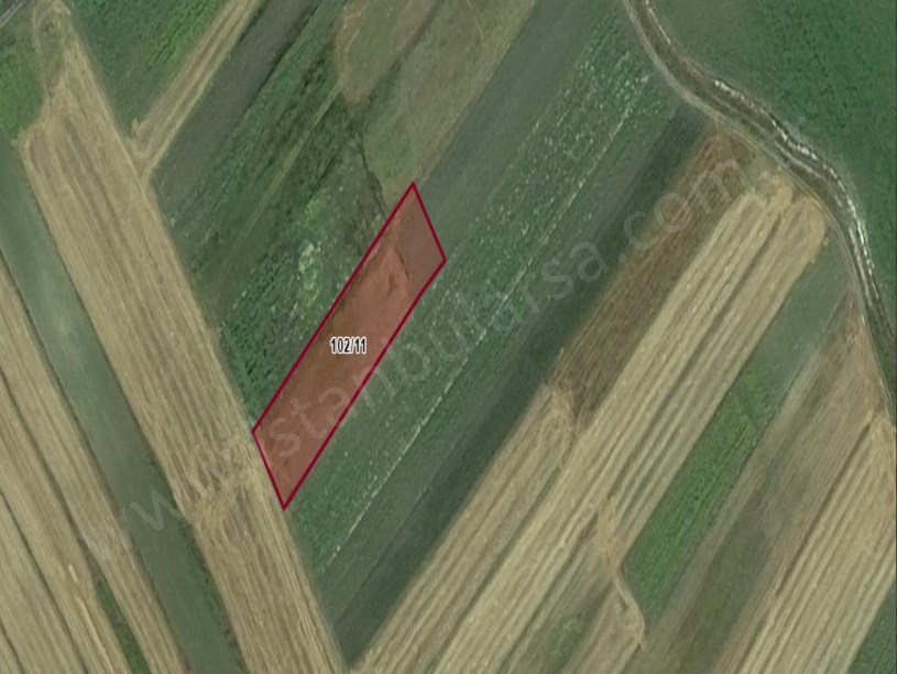 Tekirdağ Saray Karapürçek Mh Satılık Arsa ,  294 m2 Hisseli