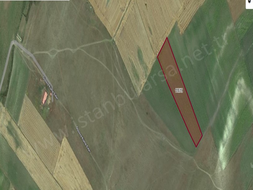 Kırklareli Vize Düzova Köyü Satılık Arsa , 792 M2  Hisseli Yolu Var Evlerin Yakını 