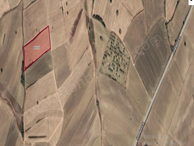 Çanakkale Gelibolu Güneyli Köyü Satılık Arsa , 246 m2 Hisseli Çaplı Yolu Var 