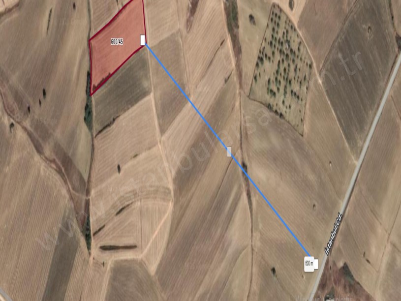 Çanakkale Gelibolu Güneyli Köyü Satılık Arsa , 246 m2 Hisseli Çaplı Yolu Var 