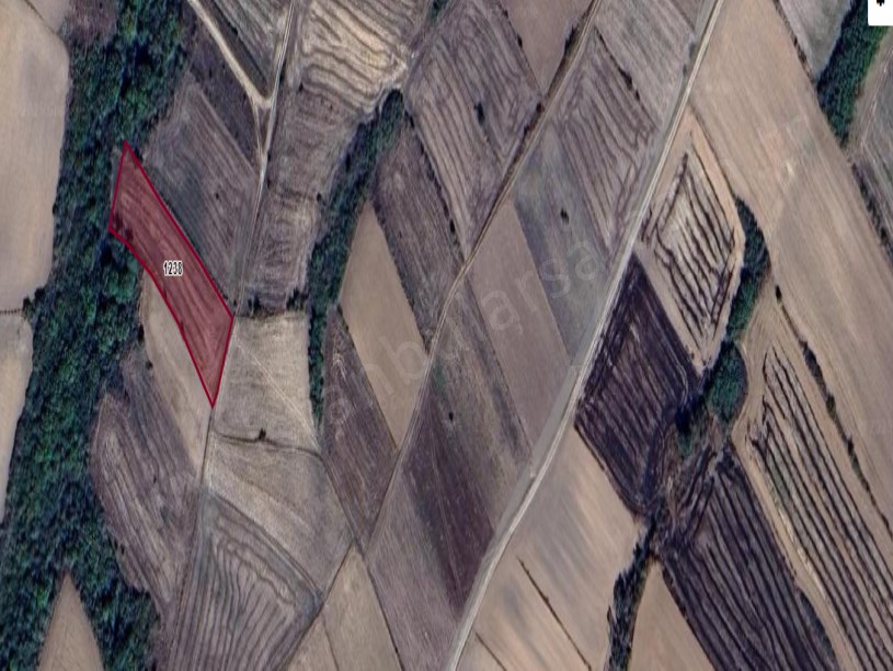 Tekirdağ Hayrabolu Kadriye Mah Satılık Tarla  , 2,100 m2 Tek Tapu Yolu Var 