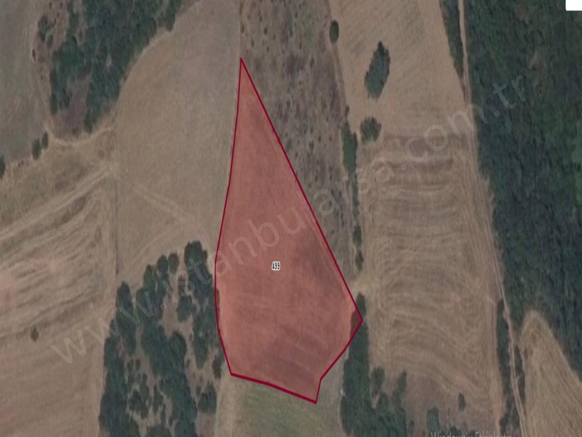 Tekirdağ Hayrabolu Cambazdere Mh Satılık Tarla , 3,250 m2 Müstakil