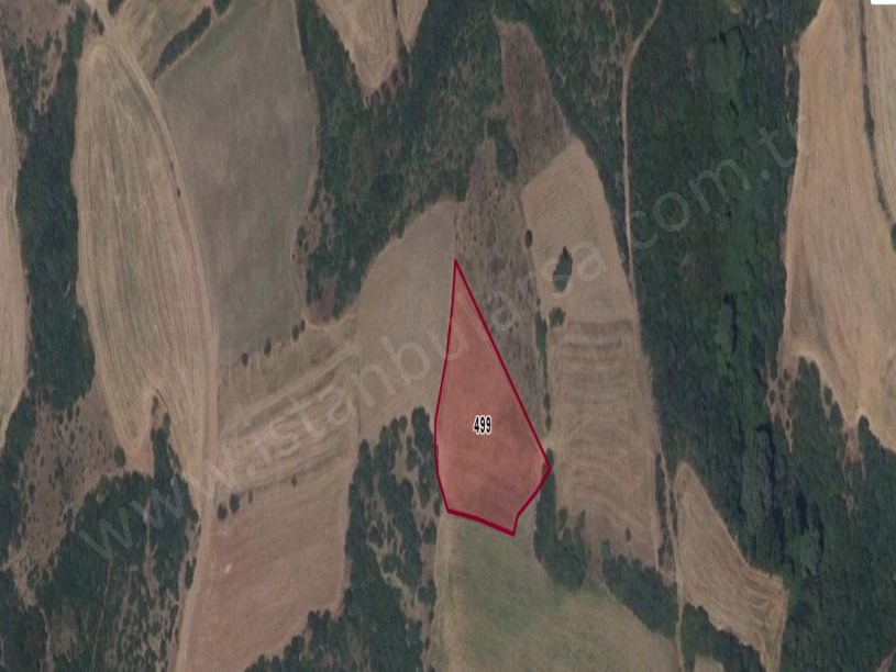 Tekirdağ Hayrabolu Cambazdere Mh Satılık Tarla , 3,250 m2 Müstakil