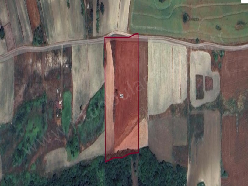 Arnavutköy Haraççıda Satılık Arsa , 220 M2 Yolu Var Hisseli İmarlı 