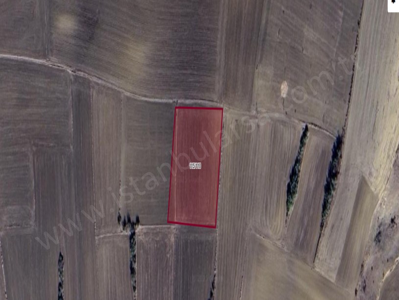 Kırklareli Babaeski Düğüncülü Köyünde Satılık Arsa , 415 m2 Hisseli Yolu Var