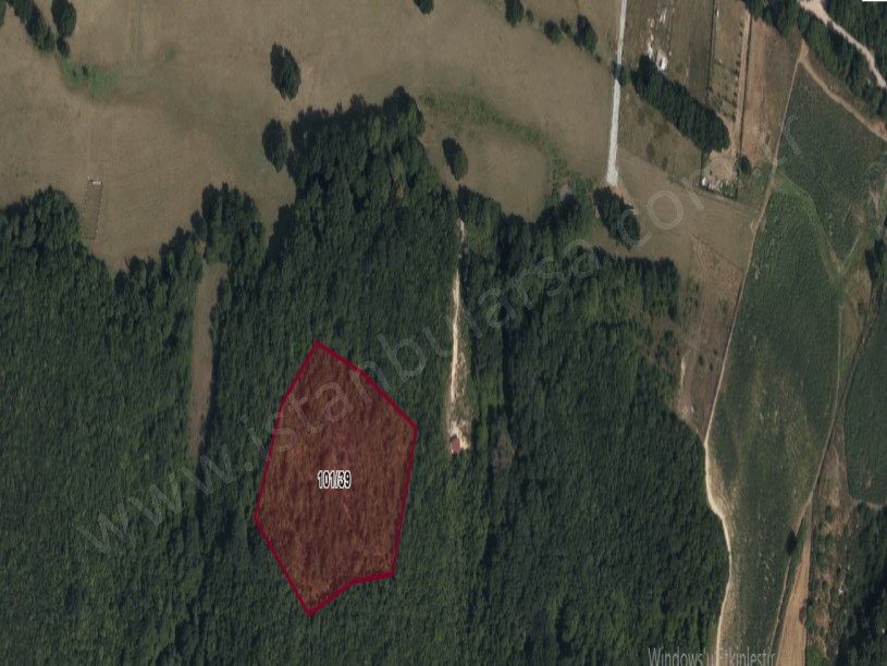  Arnavutköy Balabanda Satılık Arsa , 503 m2 Hisseli Yolu Var  