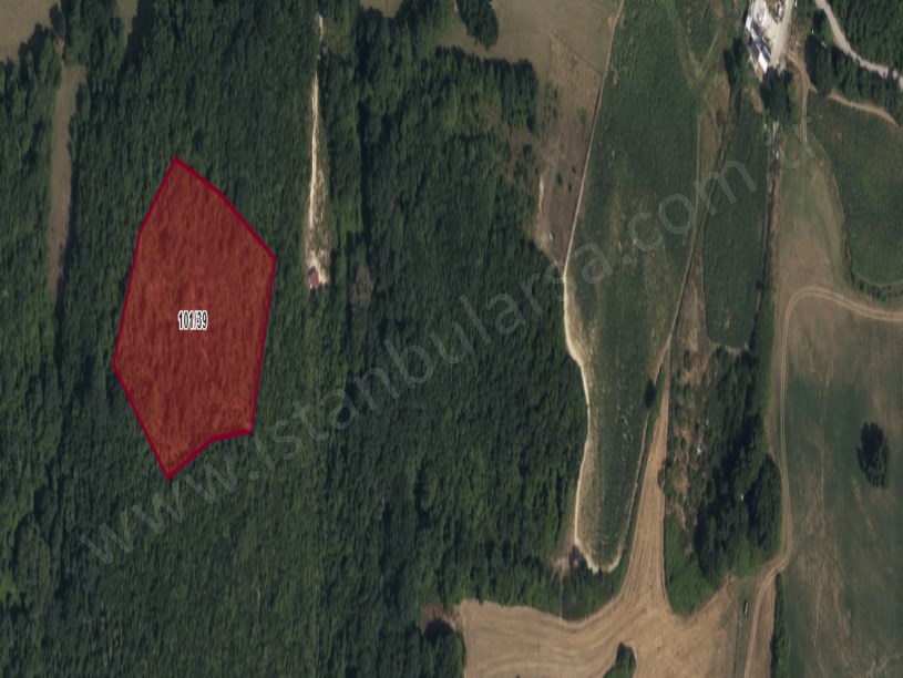  Arnavutköy Balabanda Satılık Arsa , 503 m2 Hisseli Yolu Var  