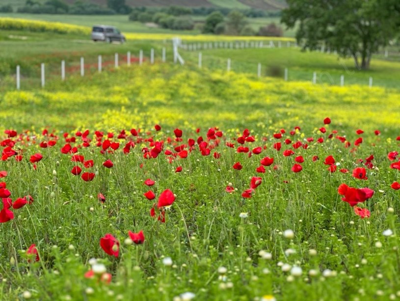 Silivri Fenerköyde Satılık Arsa , 6,590 M2 Yolu Var Hisseli