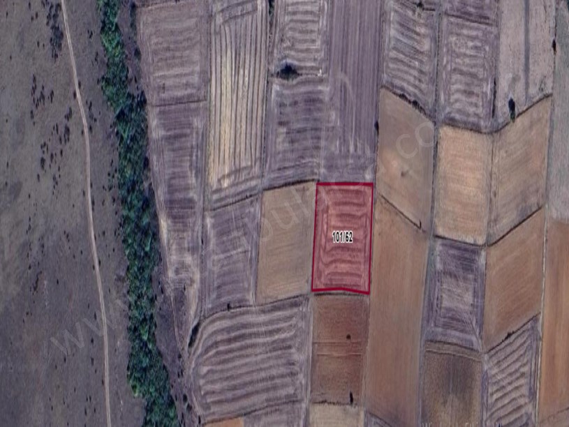 Tekirdağ Hayrabolu Övenler Mh Satılık Tarla , 2,900 m2 Müstakil Tek Tapu 