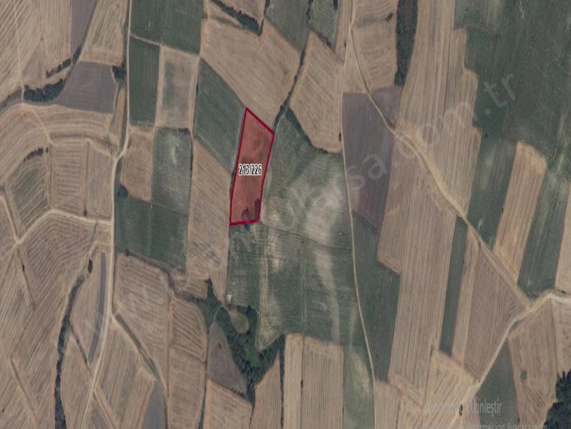 Tekirdağ Hayrabolu Şalgamlı,da Satılık Tarla , 6,211 M2 Müstakil