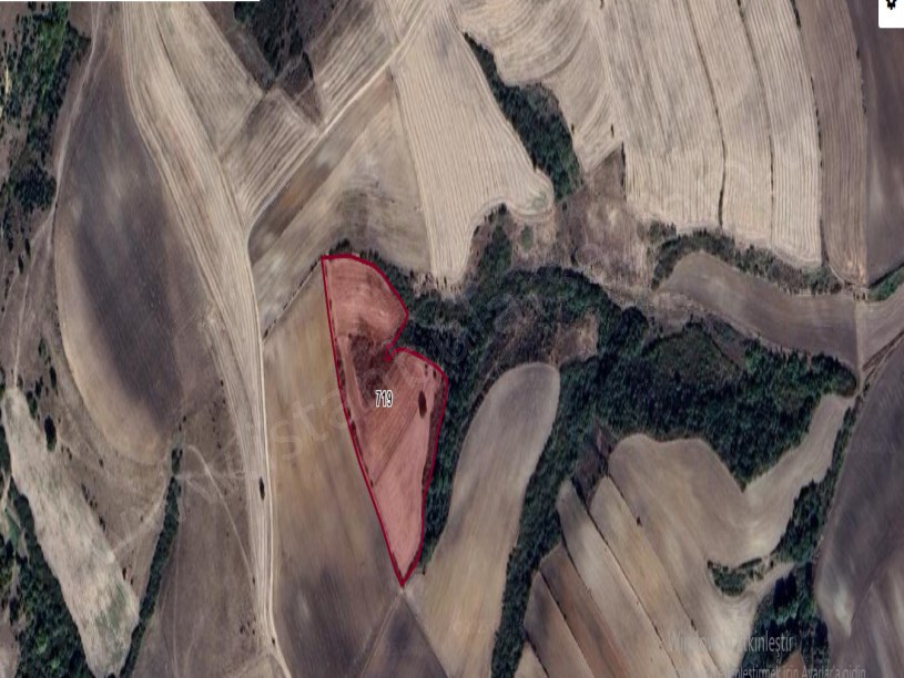 Tekirdağ Hayrabolu Hasköy Satılık Arsa , 1,071 M2 Çaplı Yeri Belli Hisseli