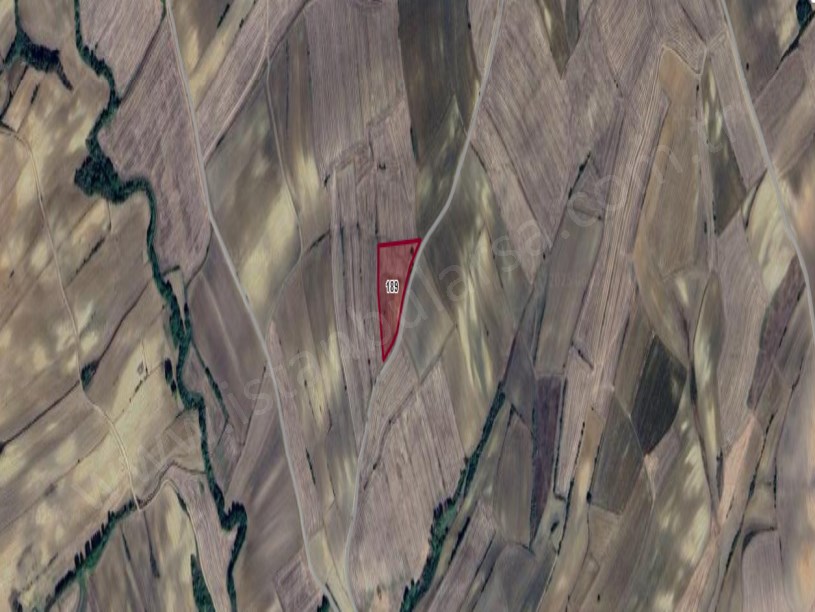 Tekirdağ Hayrabolu Hasköy Satılık Arsa , 355 M2 Yolu Var Çaplı 