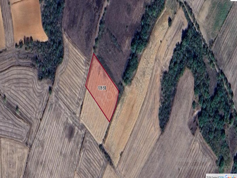 Kırklareli Pehlivanköy Kurtuluş Mh Satılık Arsa , 892 m2 Çaplı Hisseli 