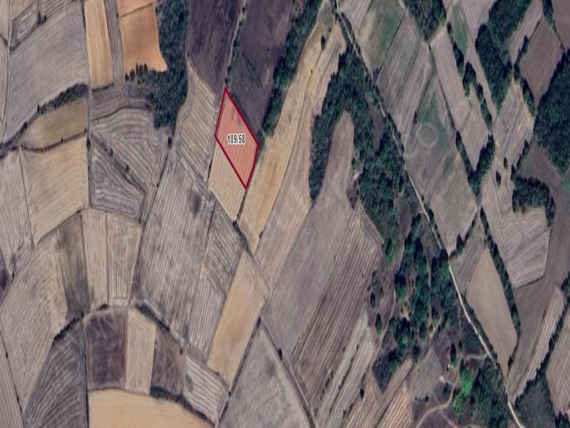 Kırklareli Pehlivanköy Kurtuluş Mh Satılık Arsa , 892 m2 Çaplı Hisseli 