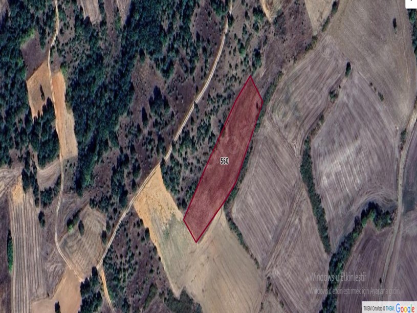 Kırklareli Pehlivanköy Yeşilpınar Köyü  , 4,750 m2 Müstakil