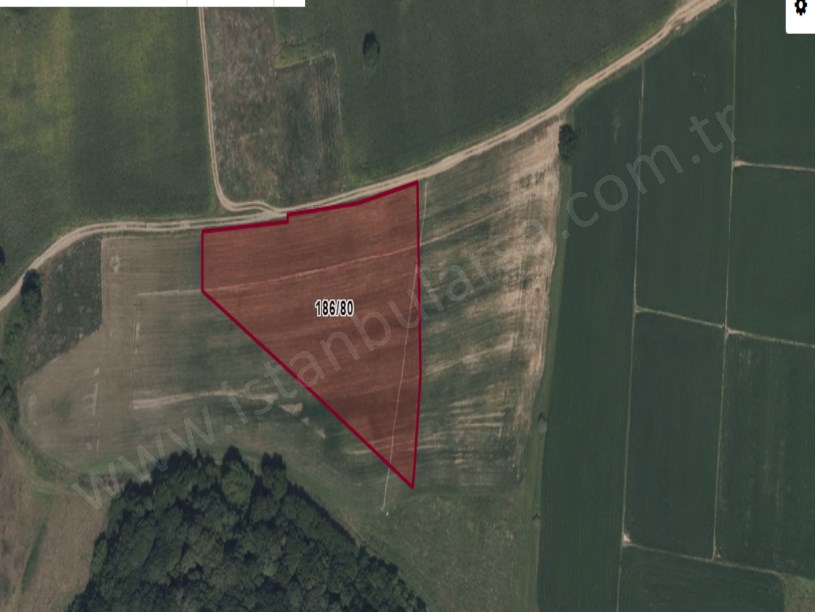 Çatalca Çiftlikköyde Satılık Arsa , 491 M2 Çaplı Hisseli