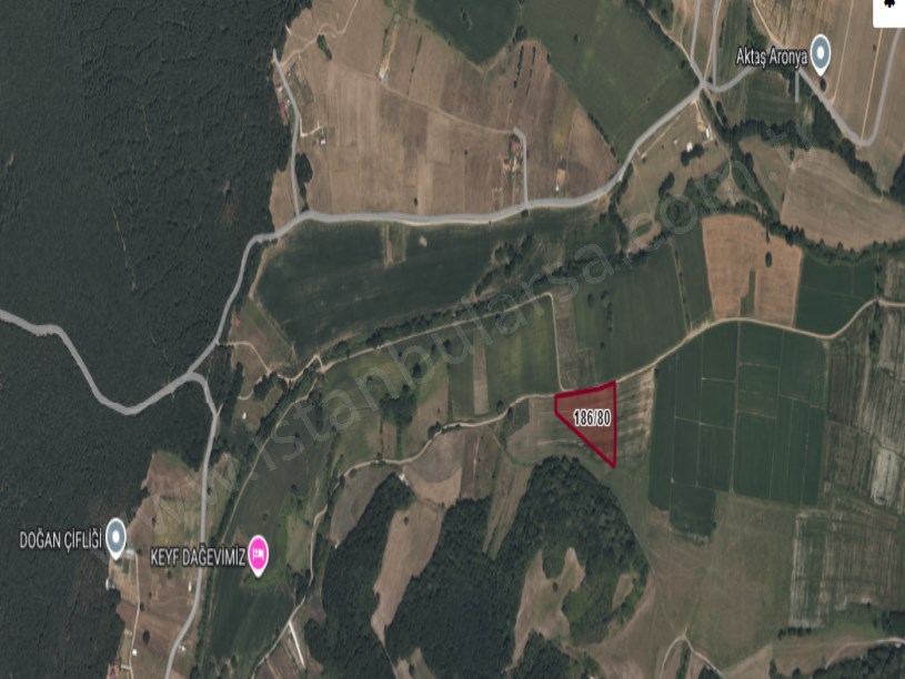 Çatalca Çiftlikköyde Satılık Arsa , 491 M2 Çaplı Hisseli