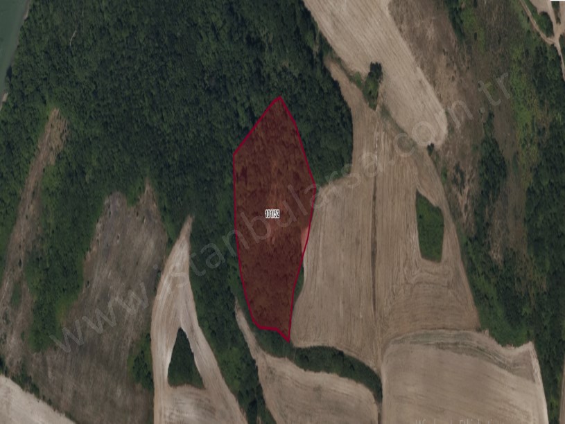 Arnavutköy Çilingirde Satılık Arsa , 256 M2 Hisseli 