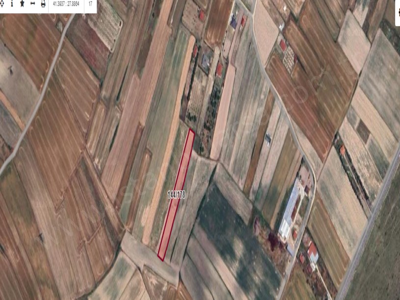 Tekirdağ Saray Çaylada Satılık Arsa , 843 m2 Yolu Var Evlerin Yakını 