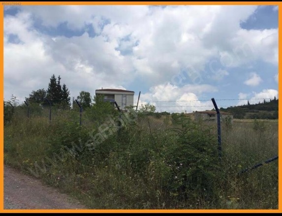 Merkez Mah-Denizçalı Köyü. Çiftlikköy Satılık Tarla |  14500M2 22.000.000Tl Resim-2