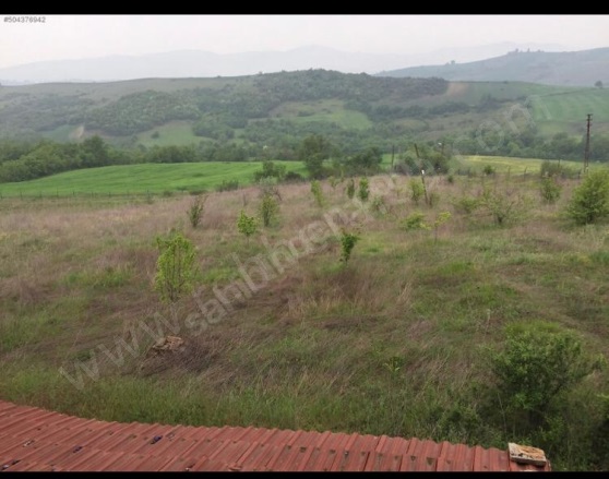 Merkez Mah-Denizçalı Köyü. Çiftlikköy Satılık Tarla |  14500M2 22.000.000Tl Resim-5