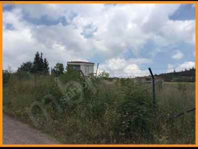 Field For Sale in  Turkey, Yalova, Ciftlikkoy, Downtown neighborhood-Denizcali Koyu. , 14500 m2