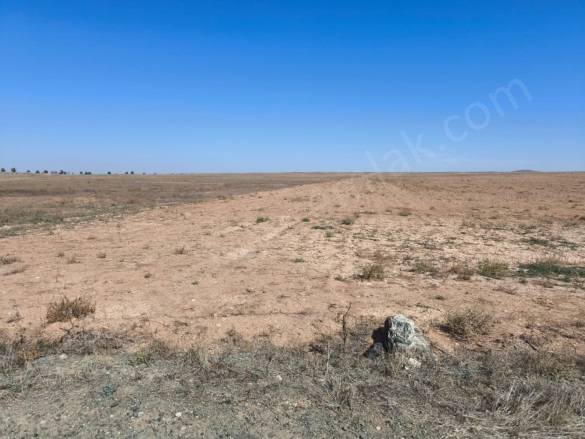 Erentepe Mah. Çumra Satılık Tarla |  2861M2 275.000Tl Resim-3