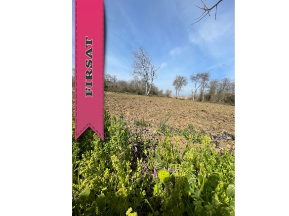 Fadıllı Mah. Nilüfer Satılık Tarla |  922M2 1.250.000Tl Resim-2