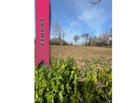 Fadıllı Mah. Nilüfer Satılık Tarla |  922M2 1.250.000Tl Resim-3