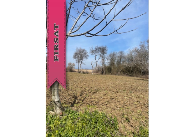 Fadıllı Mah. Nilüfer Satılık Tarla |  922M2 1.250.000Tl Resim-4