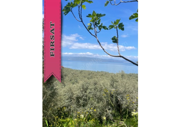 Narlıca Mah. Orhangazi Satılık Arsa |  476M2 1.400.000Tl İmarlı  Resim-2