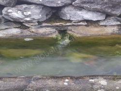 Mustafakemalpaşa Güvem Mah. Satılık Tarla 11356 M2