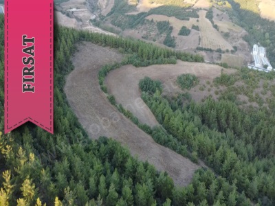 Yenişehir Alaylıda Bölgenin En Cazip Fiyat Avantajı İle 11 200 M2 Arazi! Satılık Tarla Alaylı Mah