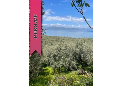 Muhteşem İznik Gölü Manzaralı 476 M2 İmar Planında ! Satılık Arsa Orhangazi Narlıca Mah