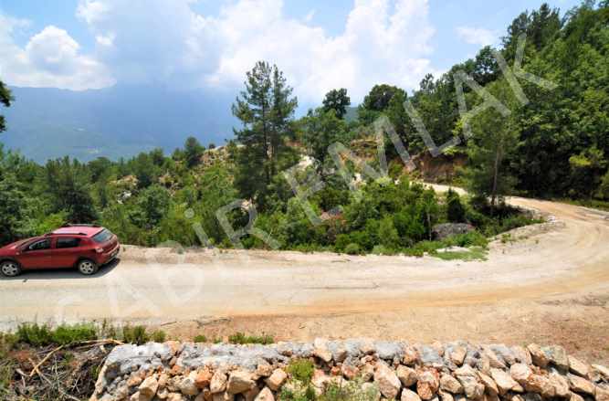 Alanya Üzümlü Satılık Tarla Yola Sıfır Yatırımlık Mah