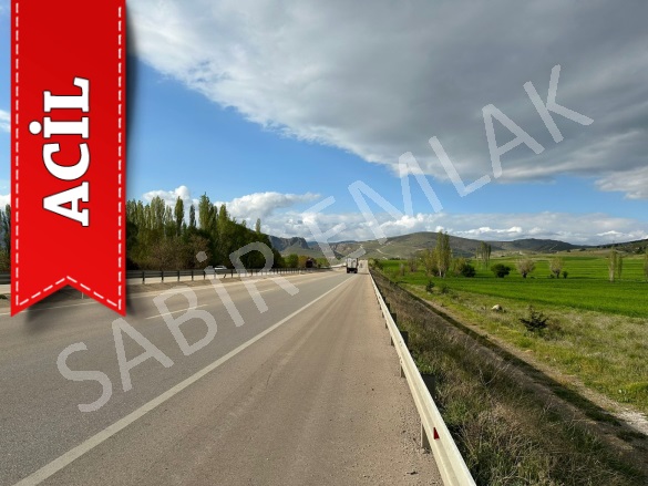 Başağaç Sandıklı Acil Satılık Tarla |  780M2 550.000Tl Resim-2