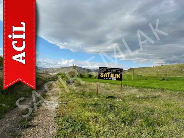 Başağaç Sandıklı Acil Satılık Tarla |  780M2 550.000Tl Resim-3