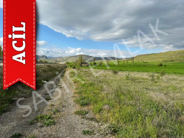 Başağaç Sandıklı Acil Satılık Tarla |  780M2 450.000Tl Resim-5