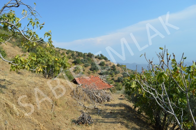 Eğrikavak Mah. Efeler Acil Satılık Tarla |  2282M2 275.000Tl Resim-1