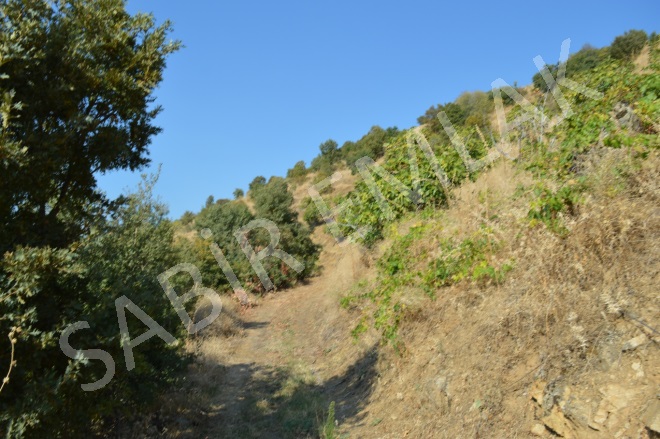 Eğrikavak Mah. Efeler Acil Satılık Tarla |  2282M2 275.000Tl Resim-4