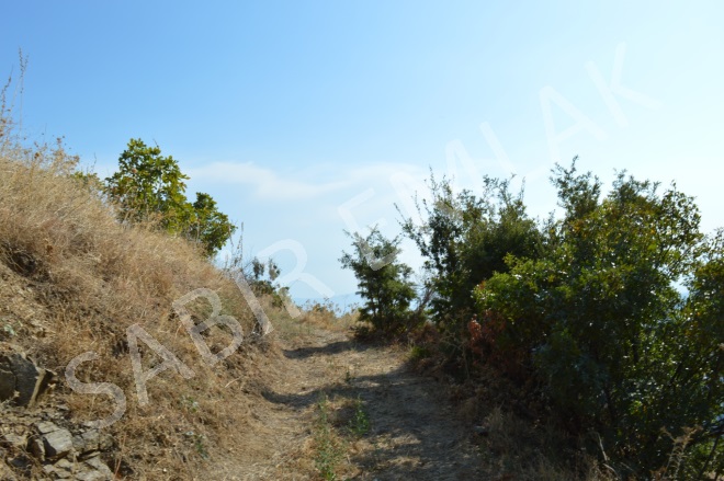 Eğrikavak Mah. Efeler Acil Satılık Tarla |  2282M2 275.000Tl Resim-5