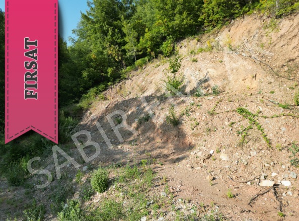 Üzümlü Mah. Alanya Satılık Tarla |  1+1 Oda | 695M2 3.300.000Tl | Müstakil | Soba | 1 Banyo | 1 Yatak Odası Resim-3